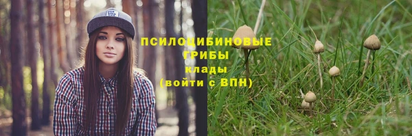 соль курить ск Горнозаводск