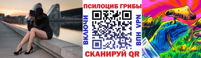 Купить где  Чадан  Псилоцибиновые грибы Cubensis 
